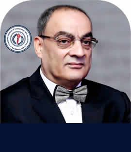 Prof. Dr. Mohamed AMR Sadik